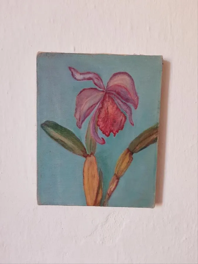 Homestay Salmoura Apartment Vila do Bispo Portugal