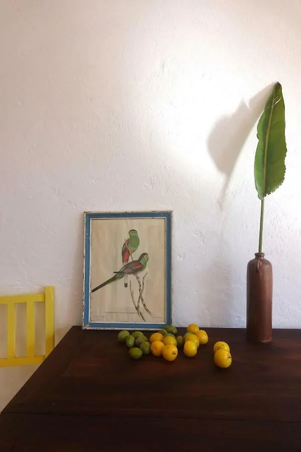 Homestay Salmoura Apartment Vila do Bispo Portugal