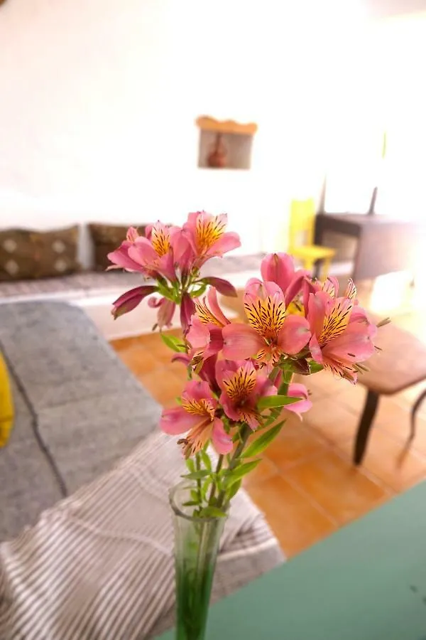 Salmoura Apartment Vila do Bispo